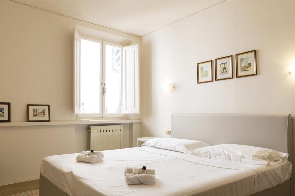 卢卡Mario'S Apartament With Ac And Wifi公寓 外观 照片